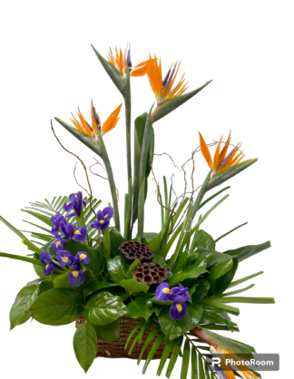 Fleurs funéraires F56