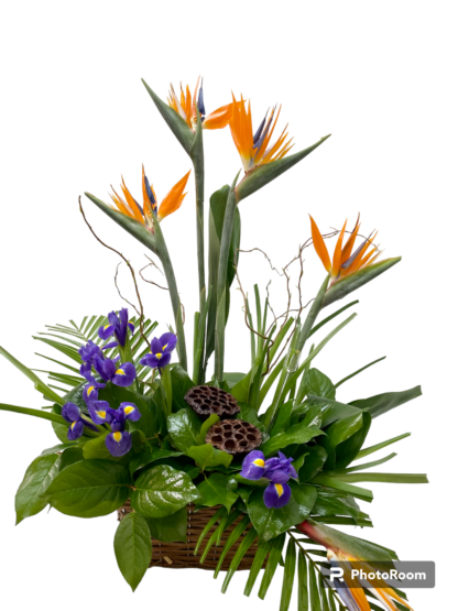 Fleurs funéraires F56