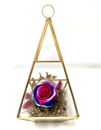 Rose éternelle R1