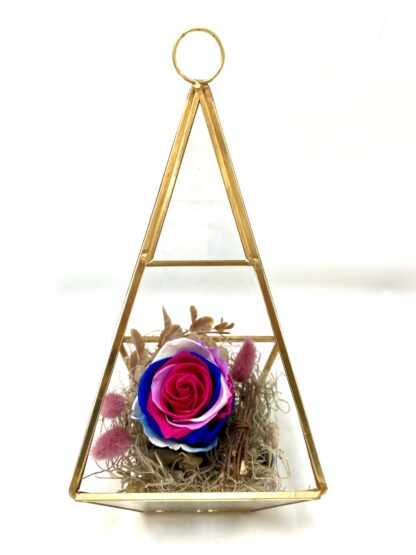 Rose éternelle R1