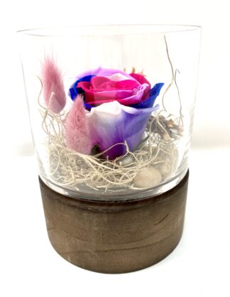 Rose éternelle R3
