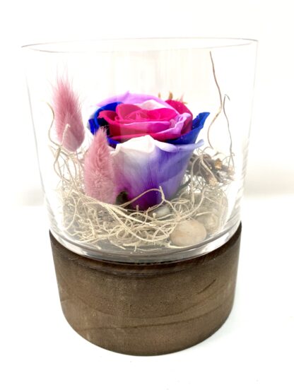 Rose éternelle R3