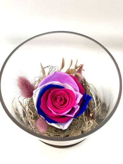 Rose éternelle R3 – Image 2