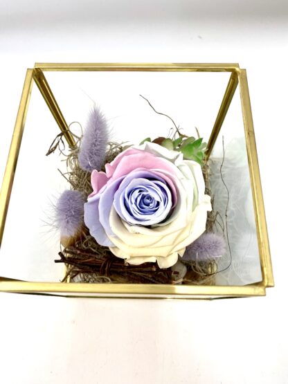 Rose éternelle R5 – Image 2