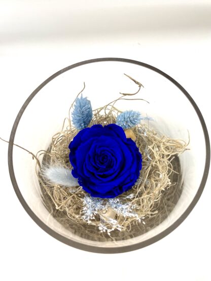 Rose éternelle R7 – Image 2