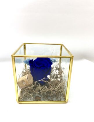 Rose éternelle R10
