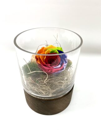 Rose éternelle R11