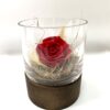 Rose éternelle R13