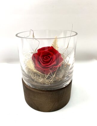 Rose éternelle R13