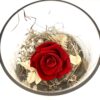 Rose éternelle R13 – Image 2