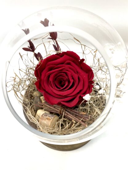 Rose éternelle R14 – Image 2