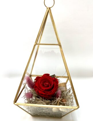 Rose éternelle R15