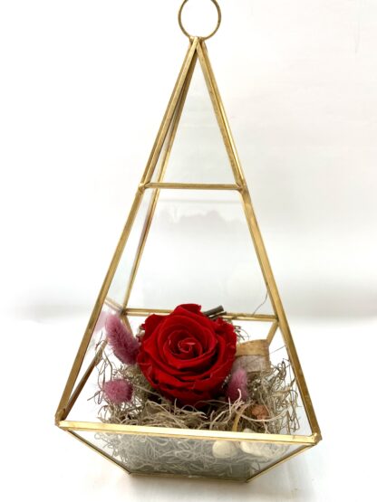 Rose éternelle R15