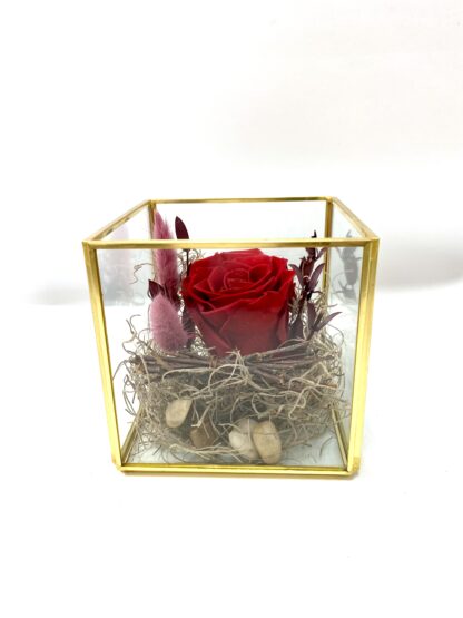 Rose éternelle R16