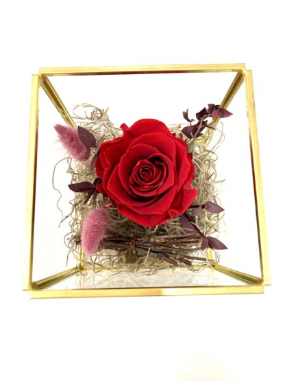 Rose éternelle R16 – Image 2