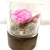 Rose éternelle R17