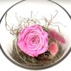 Rose éternelle R17 – Image 2