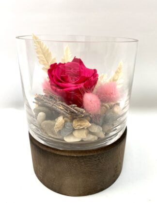 Rose éternelle R18
