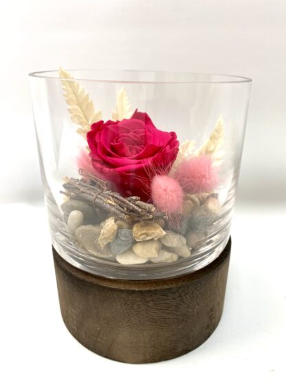 Rose éternelle R18