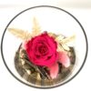 Rose éternelle R18 – Image 2