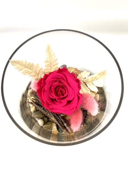 Rose éternelle R18 – Image 2