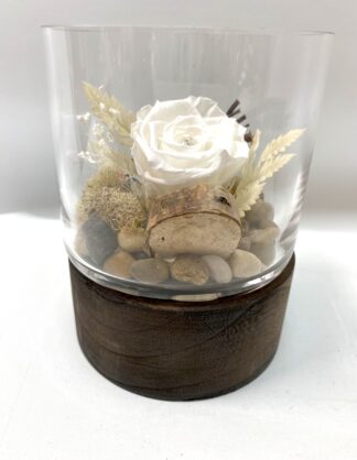 Rose éternelle R20