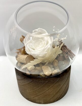 Rose éternelle R22