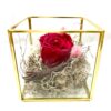 Rose éternelle R23