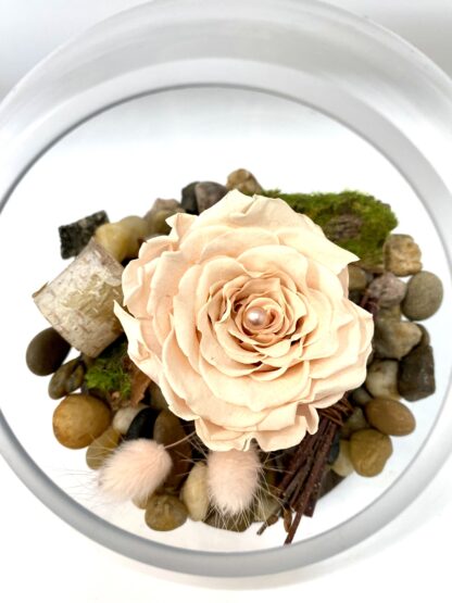 Rose éternelle R23 – Image 2