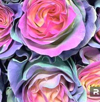 Bouquet B35